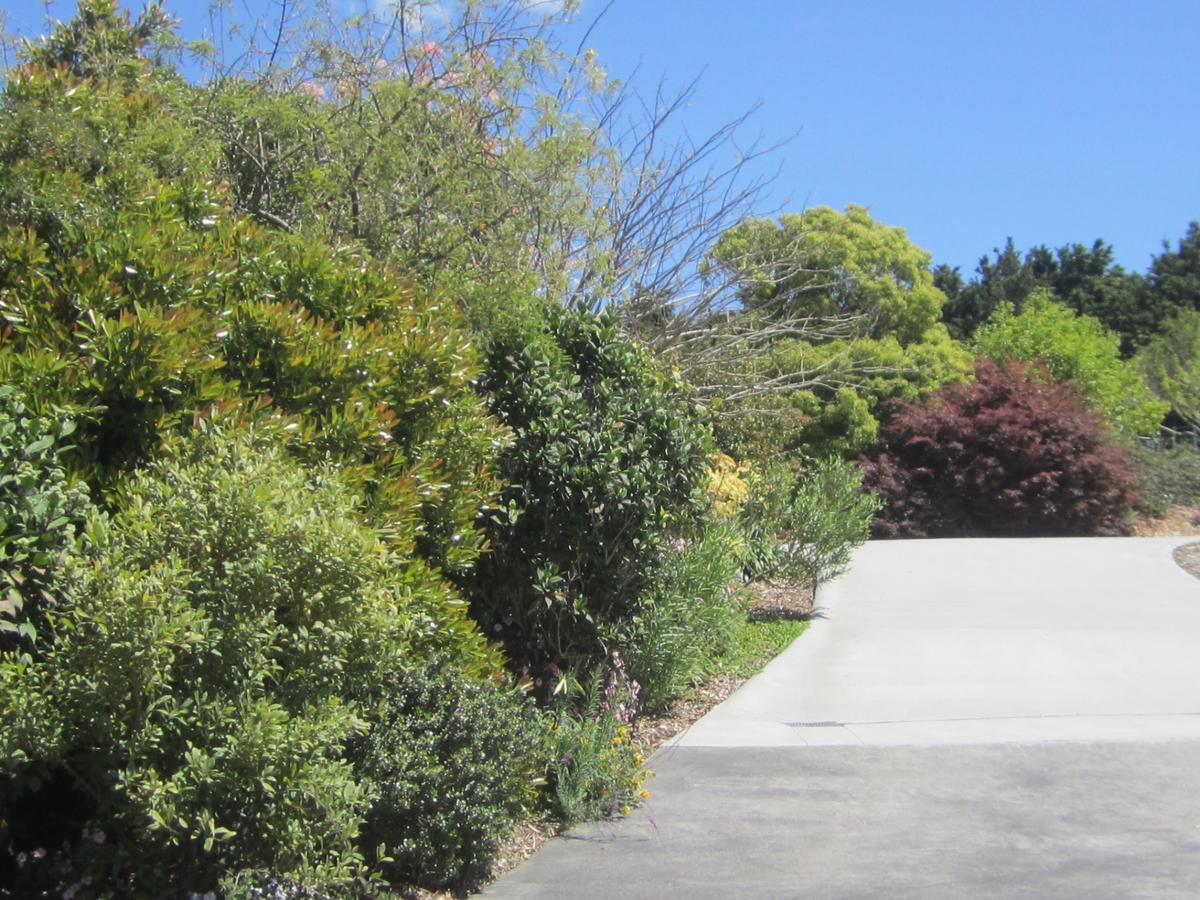 Hyecroft Lodge วานกาไร ภายนอก รูปภาพ